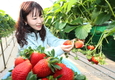 농어촌에 거주하는 ‘비농업인’도 귀농정책 수혜 가능하도록 바뀐다
