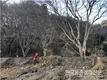 산림청, 국립세종수목원 수목식재 본격화