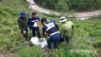 산나물·산약초 불법채취 '안됩니다'