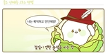 양배추,‘위장건강과 다이어트’두 마리 토끼 잡는다