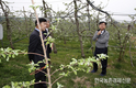 서울시농수산식품공사, 서울 도매시장소식지 여름호 원고 모집!