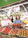 잡곡파종 표준화시켜야 기계화 빨라져