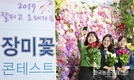 장미 콘테스트...화무십일홍 花無十日紅? 이젠 옛말~