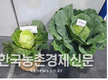 일본, 대만인 입맛 사로잡은 소형양배추 수출길