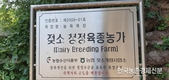 ‘늘목목장’ 씨수소 배출 노하우?… ‘청결과 질병차단’