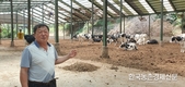 ‘늘목목장’ 씨수소 배출 노하우?… ‘청결과 질병차단’