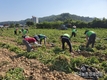 ‘농업경영체’ 정보가치 1,351억원… ‘농업경영체 DB’ 품질 더 높여야