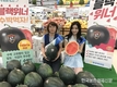 농협하나로유통, 국산 신품종 수박 ‘블랙위너’ 소비자 입맛 잡자!
