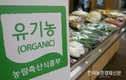 친환경자조금 ‘에코‧프라이데이’ 캠페인