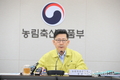 비육돈 '긴급도축'... 농장들 사육규모 서둘러 축소해야