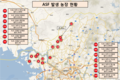 [속보] 경기 연천군 돼지 수매 도축 중, 도축검사에서 이상개체 1두 발견돼 ASF 정밀검사 중<끝>