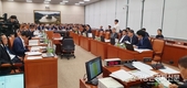 값싼 소금으로 '칡 덩굴제거'...고사율 80% '효과 만점'