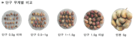 농업과학기술대전…마늘 ‘우량종구’ 생산체계 기술개발 뽑혔다