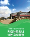 '서부목장' 착유우 63두로 '연매출 8억' 노하우?