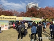 '계란' 소스왕?