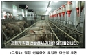 '하늘애GP'...MSY 28.2두, 손익분기 돈가 3,200원/kg