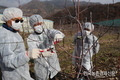 농촌진흥청, '과수화상병' 사전 관리로 피해 예방 나서자!