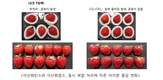“딸기, 물러짐-곰팡이 걱정없이 수출하세요”