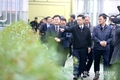 농사에 쓰일 ‘태양광사업’ 본격 활성화 기대
