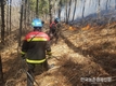 <속보>강원도 '철원산불' 신속히 진화 완료... 잔불 정리 중