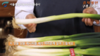 서울시농수산식품공사 '대파' 소비촉진에 앞장