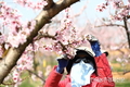 과수원 '과수화상병' 발생하면 수출까지 막힌다