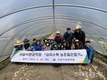 '햇감자 수확' 농촌 일손돕기