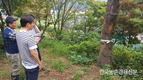 '소나무재선충병' IoT기술로 관리한다