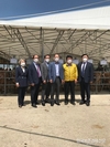전국 '가축시장' 속속 재개장...시장활력 기대