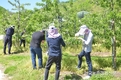 '산지생태' 농가농촌일손 돕기