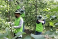 범농협 홍보조직 '농촌일손돕기'