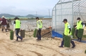 '대마리마을' 영농철 일손돕기