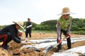 구제역 '방역망' 대폭 강화한다
