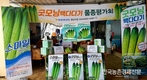 농우바이오, 오이 신품종 ‘굿모닝’ 선보여