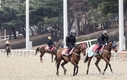경마장 '무고객 경마'...이번주 19일부터 뛴다!