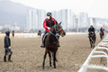 경마장 '무고객 경마'...이번주 19일부터 뛴다!