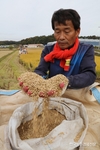 간척지 '토양개량제' 신청하세요