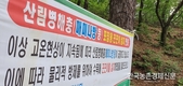 송충이-매미나방 '극성'...산림당국 방제 더 서둘러라!