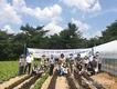 강원지역 ‘상추 우량계통’ 지역적응 현장평가회