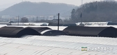 전국 '농지이용' 실태조사 나선다