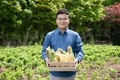 초간편 '초당옥수수'...칼로리는 절반으로 뚝!