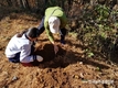 안전한 먹거리 제공…‘산양삼’ 생산 검사 수수료 지원