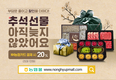‘막바지 추석선물 늦지 않았습니다’