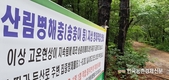 내년 산림·임업연구개발 추진에 1,493억 원 투입키로