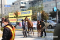 농가들 파산직전…”뿔난 말산업 농가 말 타고 피켓 들고 시위