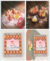 핑크빛 소금으로 반숙한...'愛(애)너지란' 선보여