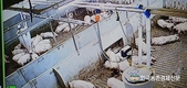 '한돈혁신센터' 국내 한돈산업 '혁신의 장'으로 자리 잡아
