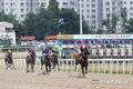 코로나19 여파로 경마중단… ‘축발기금’ 고갈 현실화