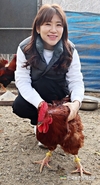 세계 최초 ‘닭’(鷄) 전용 가축 헬스케어 서비스 개발 성공