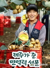 제주 ‘골드키위’ 달콤한 맛과 풍부한 과즙으로 입맛 사로잡아